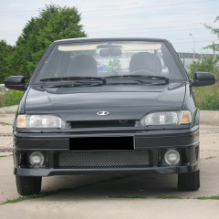 Сетка в бампер "DM" для B@3 2113-2115